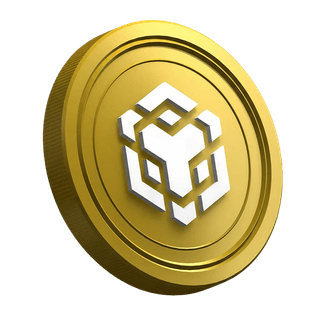 Token de criptomoneda Binance BNB dentro de la sección de guía dirigida a operadores principiantes
